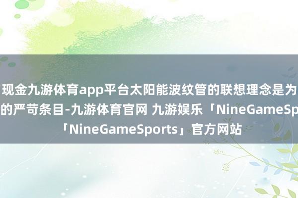 现金九游体育app平台太阳能波纹管的联想理念是为了适合户外环境的严苛条目-九游体育官网 九游娱乐「NineGameSports」官方网站